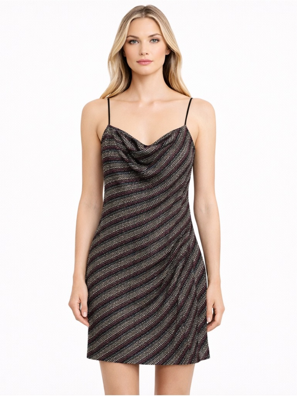 Parker Asher Dress Champagne Stripe Beaded Women's Size Small Black Pink NWT